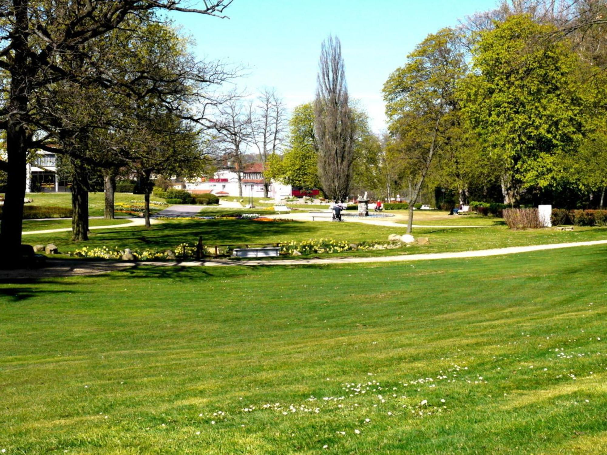 Henning Daire Bad Harzburg Dış mekan fotoğraf