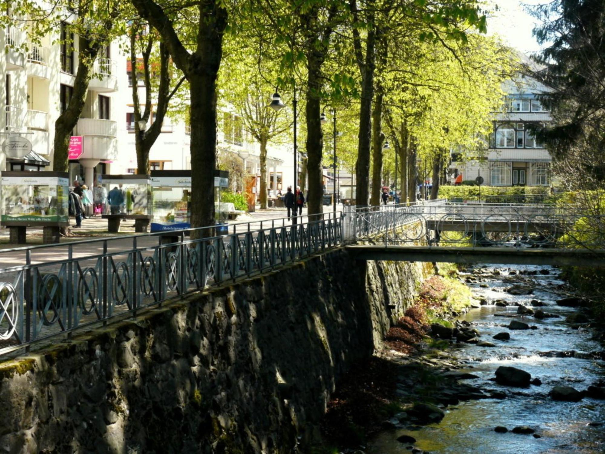 Henning Daire Bad Harzburg Dış mekan fotoğraf